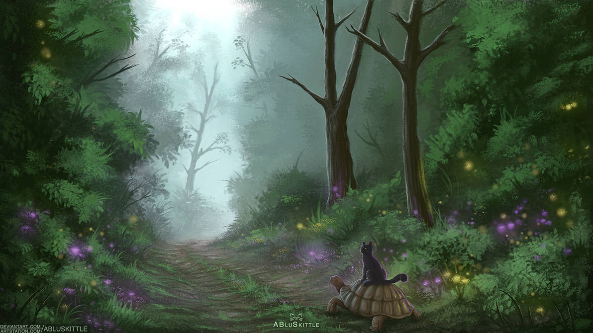 Misty Forest Trail